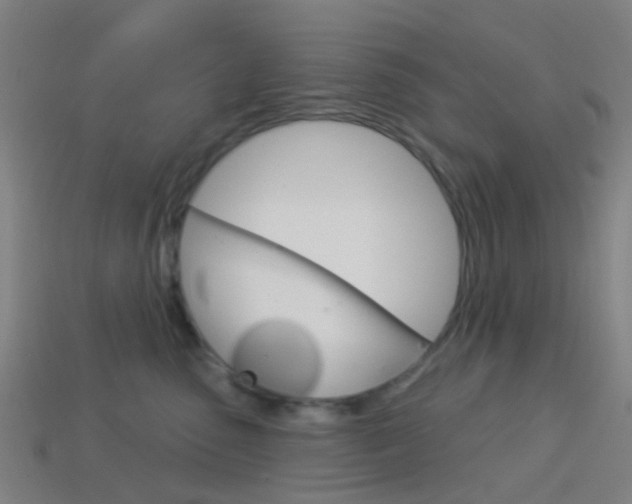 X0000114160475200910081137