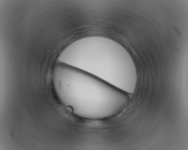 X0000114160476200910081137