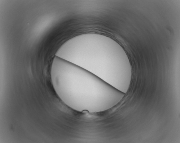 X0000114160477200910081137