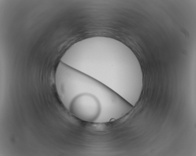 X0000114160478200910081137