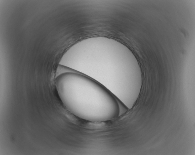 X0000114160480200910081137