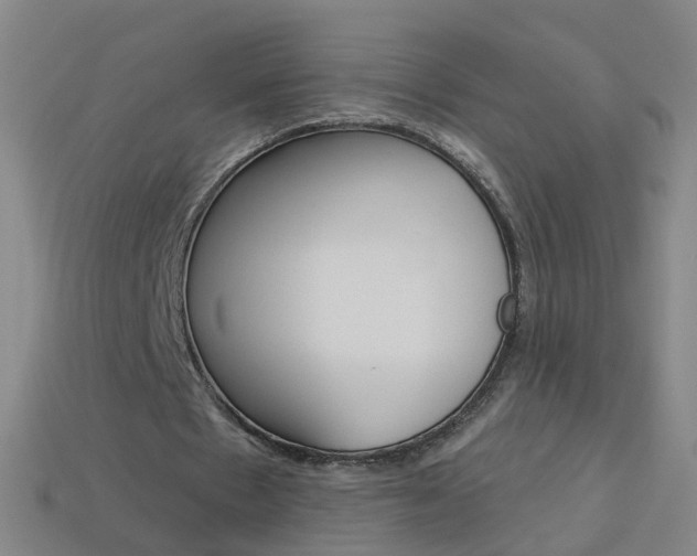 X0000114160481200910081137
