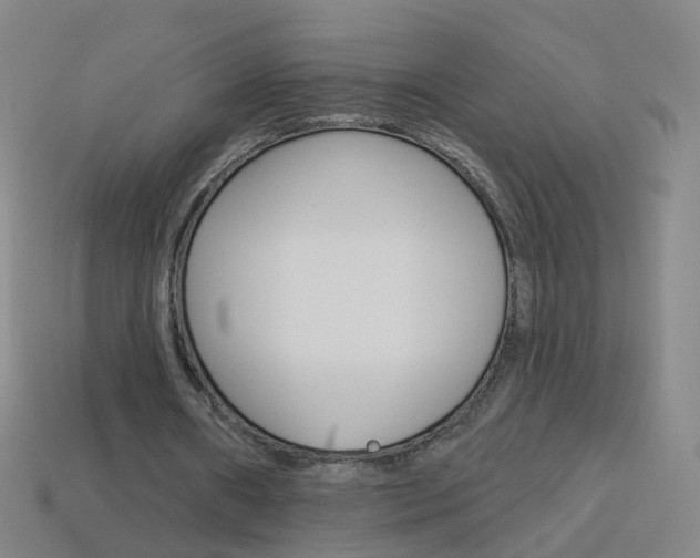 X0000114160482200910081137