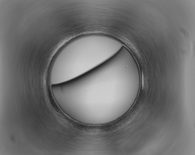X0000114160483200910081137