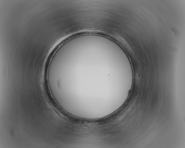 X0000114160484200910081137
