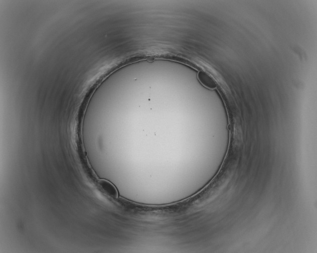 X0000114160485200910081137