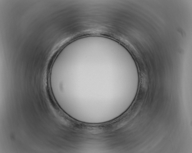 X0000114160486200910081137