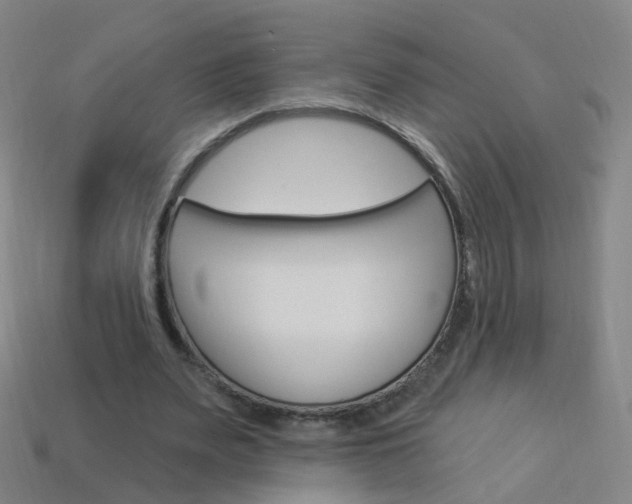 X0000114160487200910081137