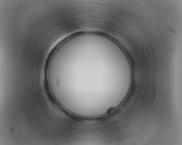 X0000114160488200910081136