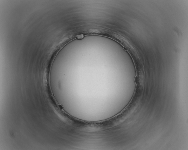 X0000114160489200910081136