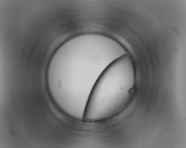 X0000114160493200910081136