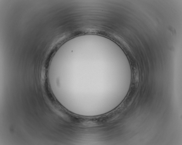X0000114160494200910081136