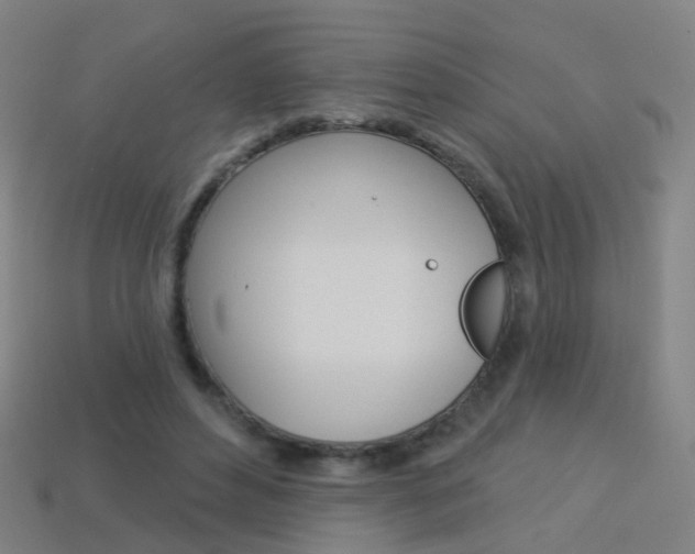 X0000114160496200910081136