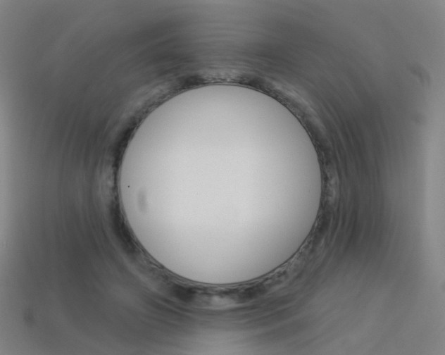 X0000114160498200910081136
