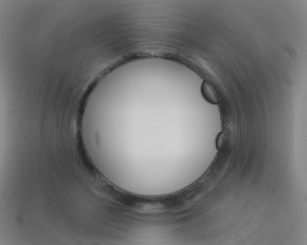 X0000114160500200910081136