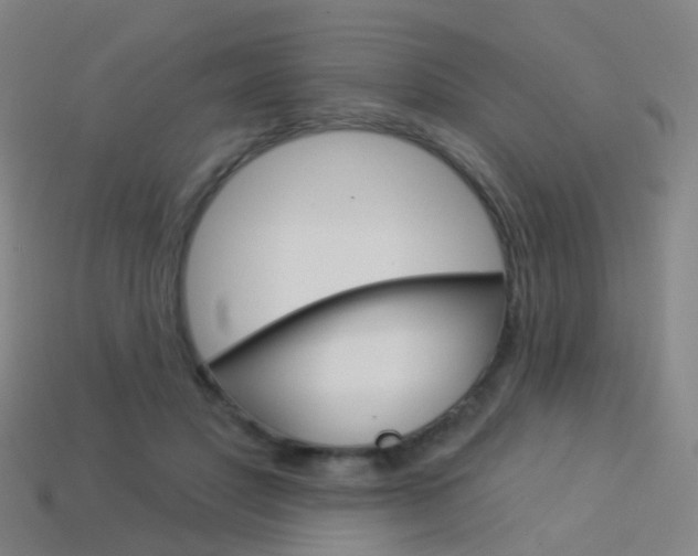 X0000114160501200910081136
