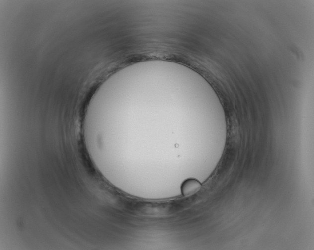 X0000114160502200910081136