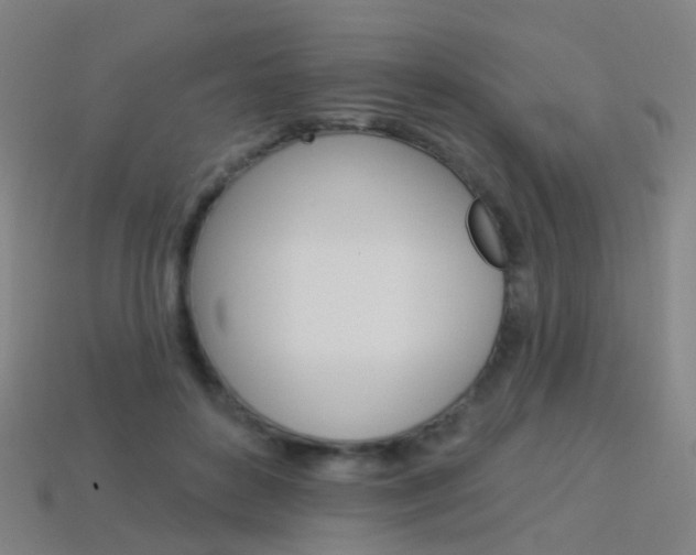 X0000114160504200910081136