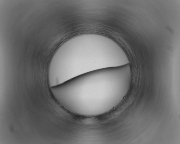 X0000114160505200910081136