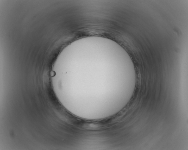 X0000114160506200910081136