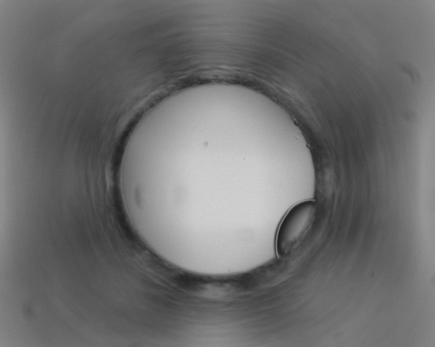 X0000114160508200910081136