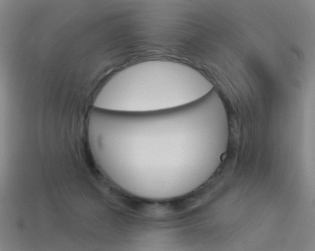 X0000114160511200910081136