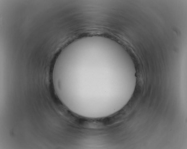 X0000114160512200910081136