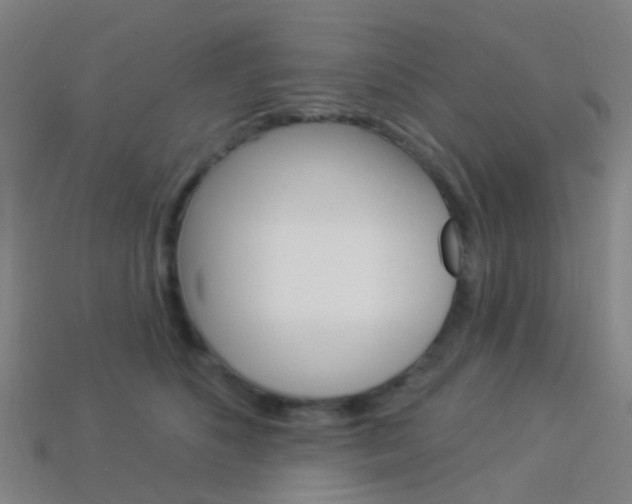X0000114160516200910081136