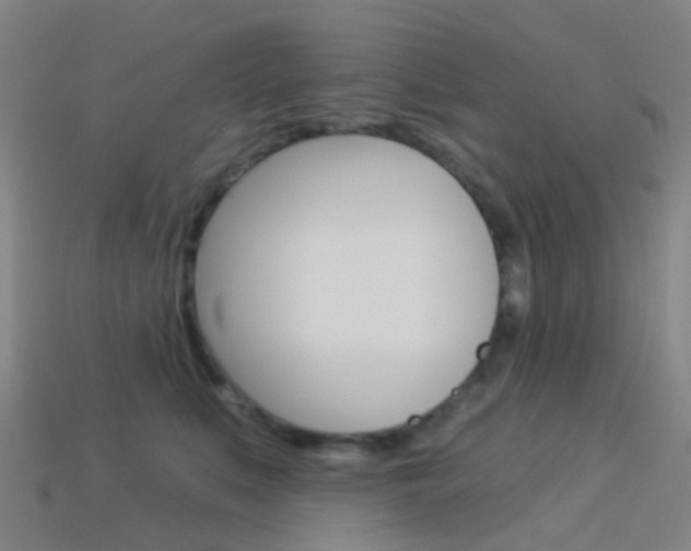 X0000114160519200910081136