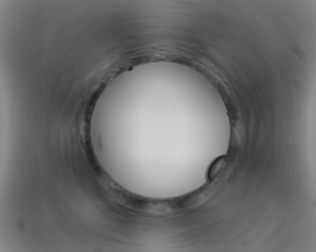 X0000114160520200910081136
