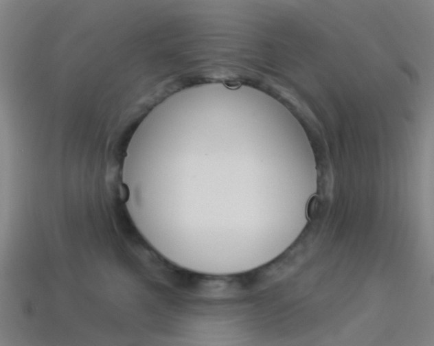 X0000114160521200910081136