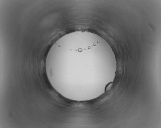 X0000114160523200910081136