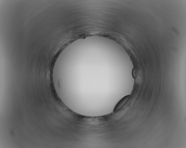 X0000114160524200910081136