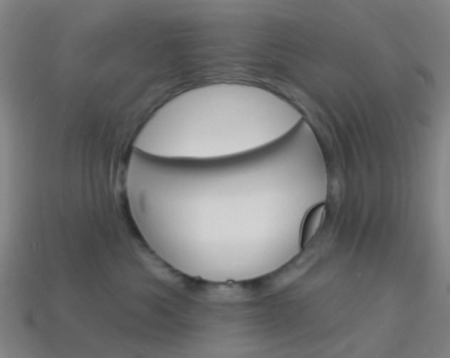 X0000114160525200910081136