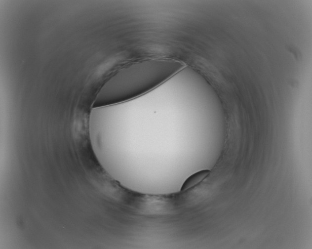 X0000114160528200910081136