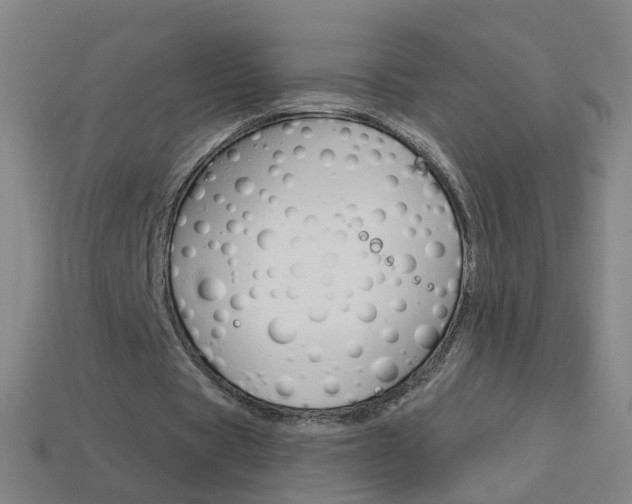 X0000114160529200910081135