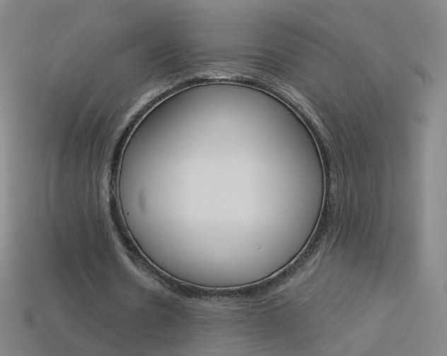X0000114160530200910081135