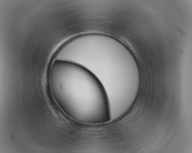 X0000114160532200910081135