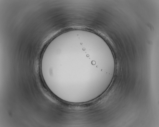 X0000114160533200910081135