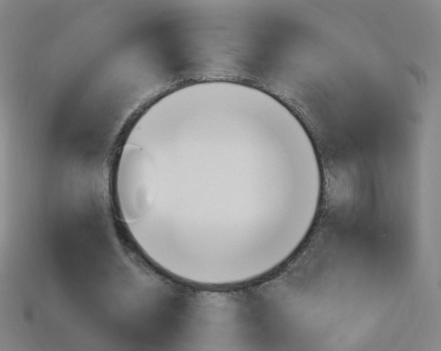 X0000114160534200910081135