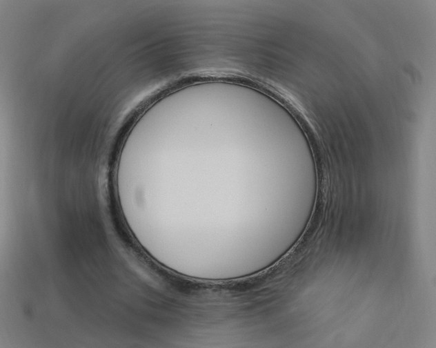 X0000114160535200910081135