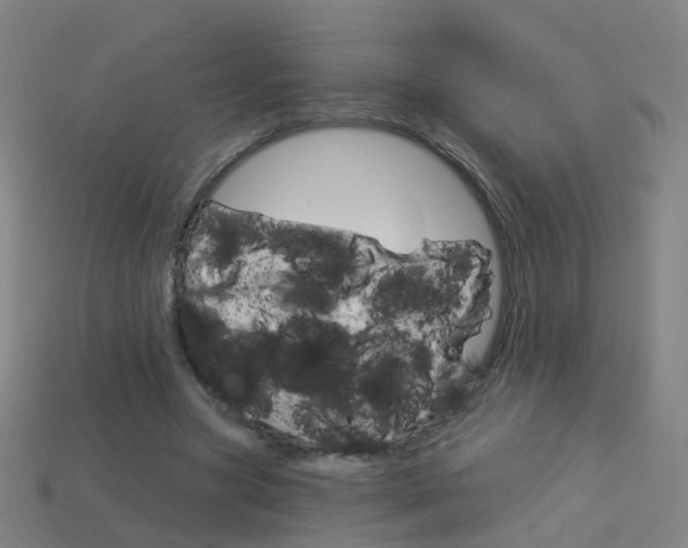X0000114160537200910081135