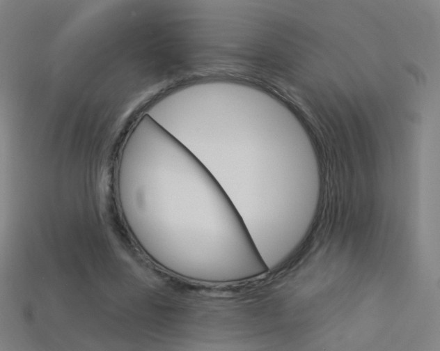 X0000114160539200910081135