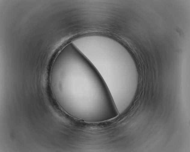 X0000114160540200910081135