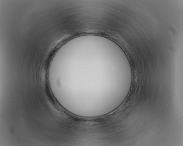 X0000114160542200910081135