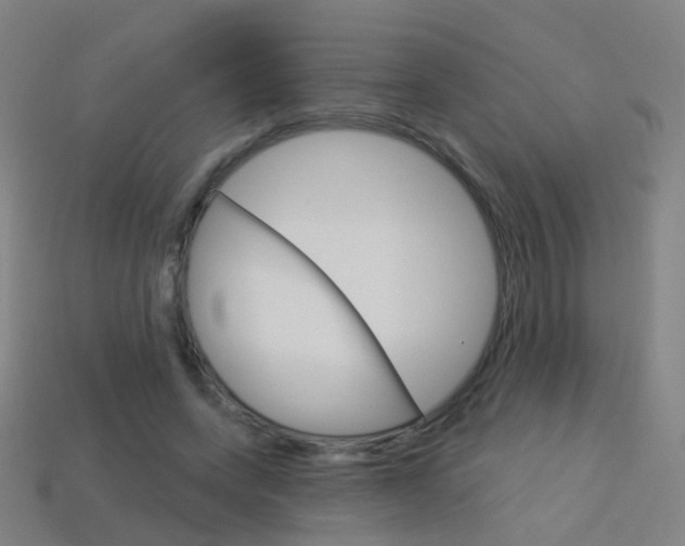 X0000114160543200910081135