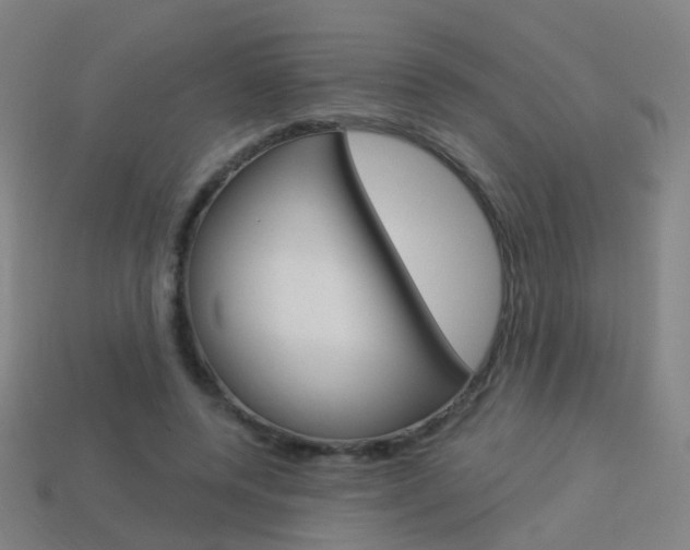 X0000114160544200910081135