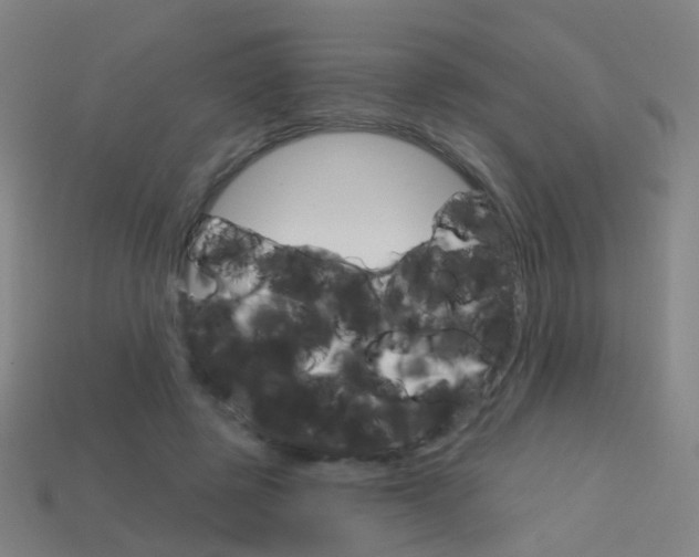 X0000114160545200910081135