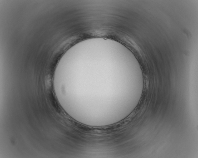X0000114160549200910081135