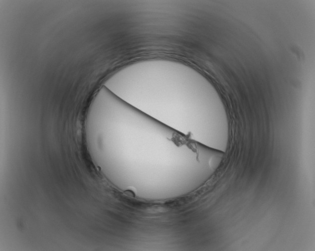X0000114160551200910081135